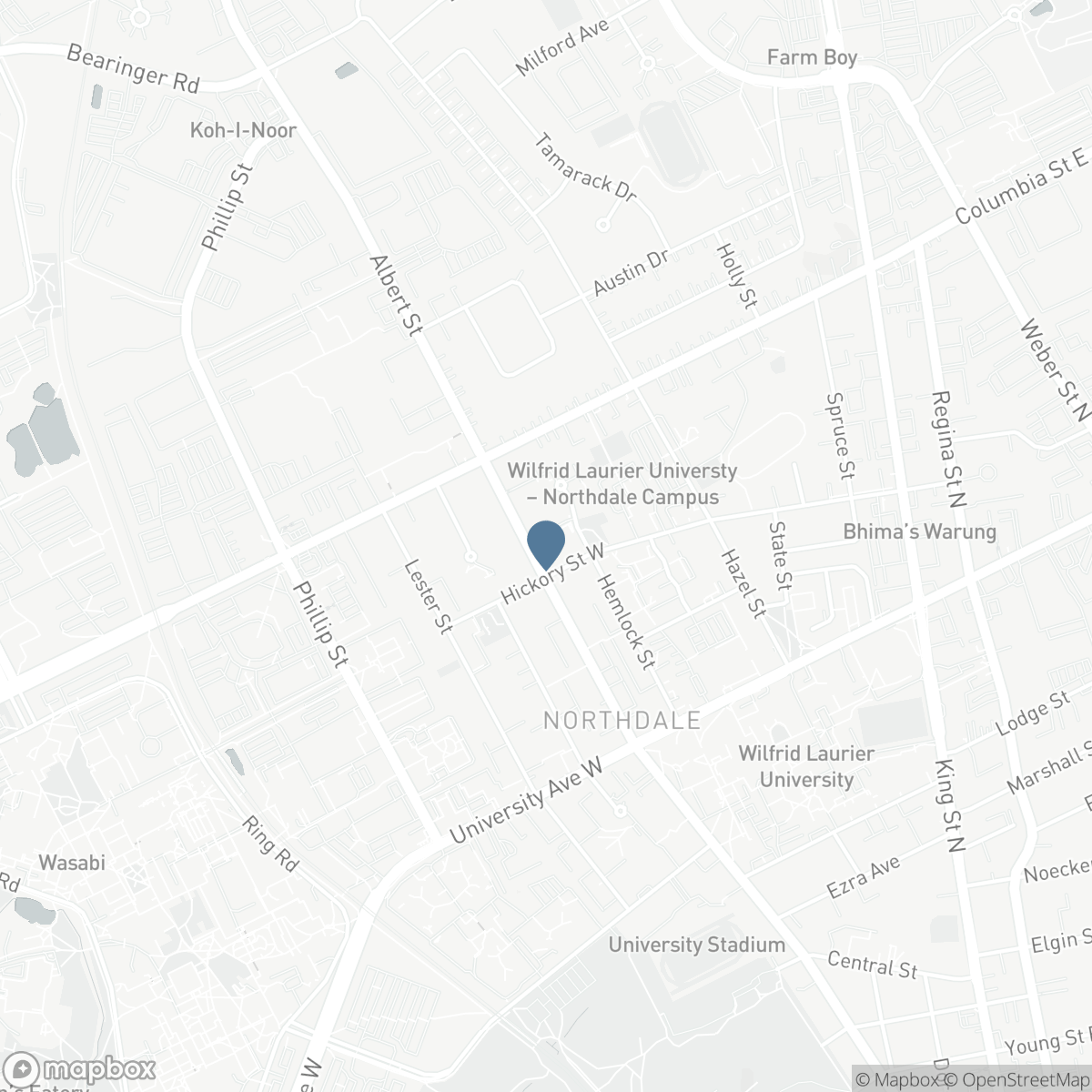 216 - 288 ALBERT STREET, Waterloo, Ontario N2L 3T8